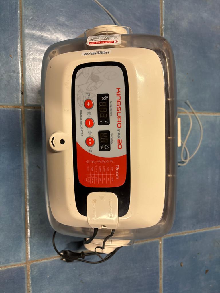 Rcom kingsuro max20, Dieren en Toebehoren, Pluimvee | Toebehoren, Ophalen of Verzenden, Broedmachine