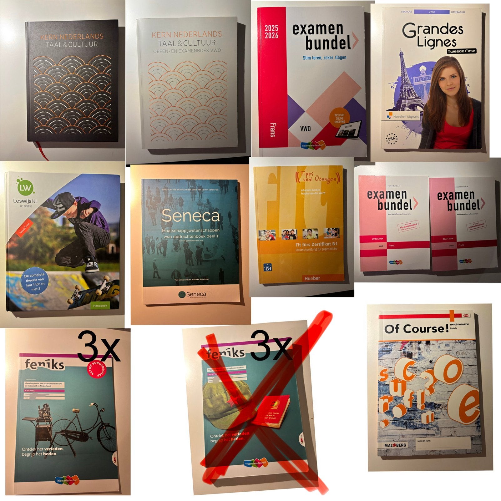 Diverse Schoolboeken vwo/havo (examenjaar), Boeken, Ophalen of Verzenden, Gelezen, VWO