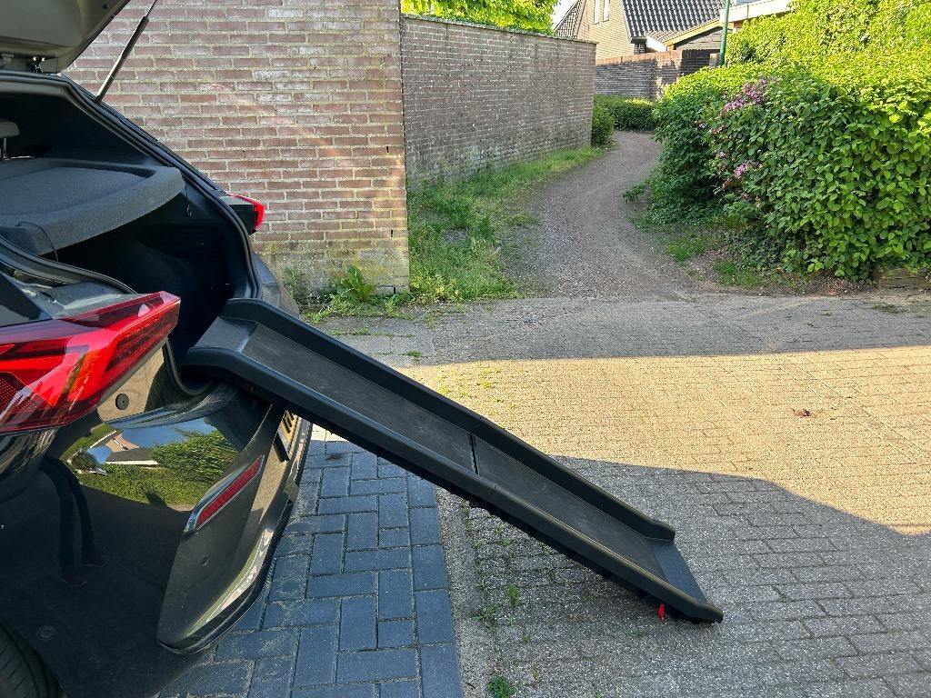 Loopplank hond, Dieren en Toebehoren, Honden-accessoires, Ophalen, Gebruikt