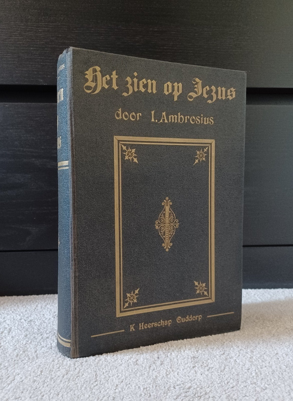 Isaac Ambrosius, Het zien op Jezus, Ophalen of Verzenden, Gelezen