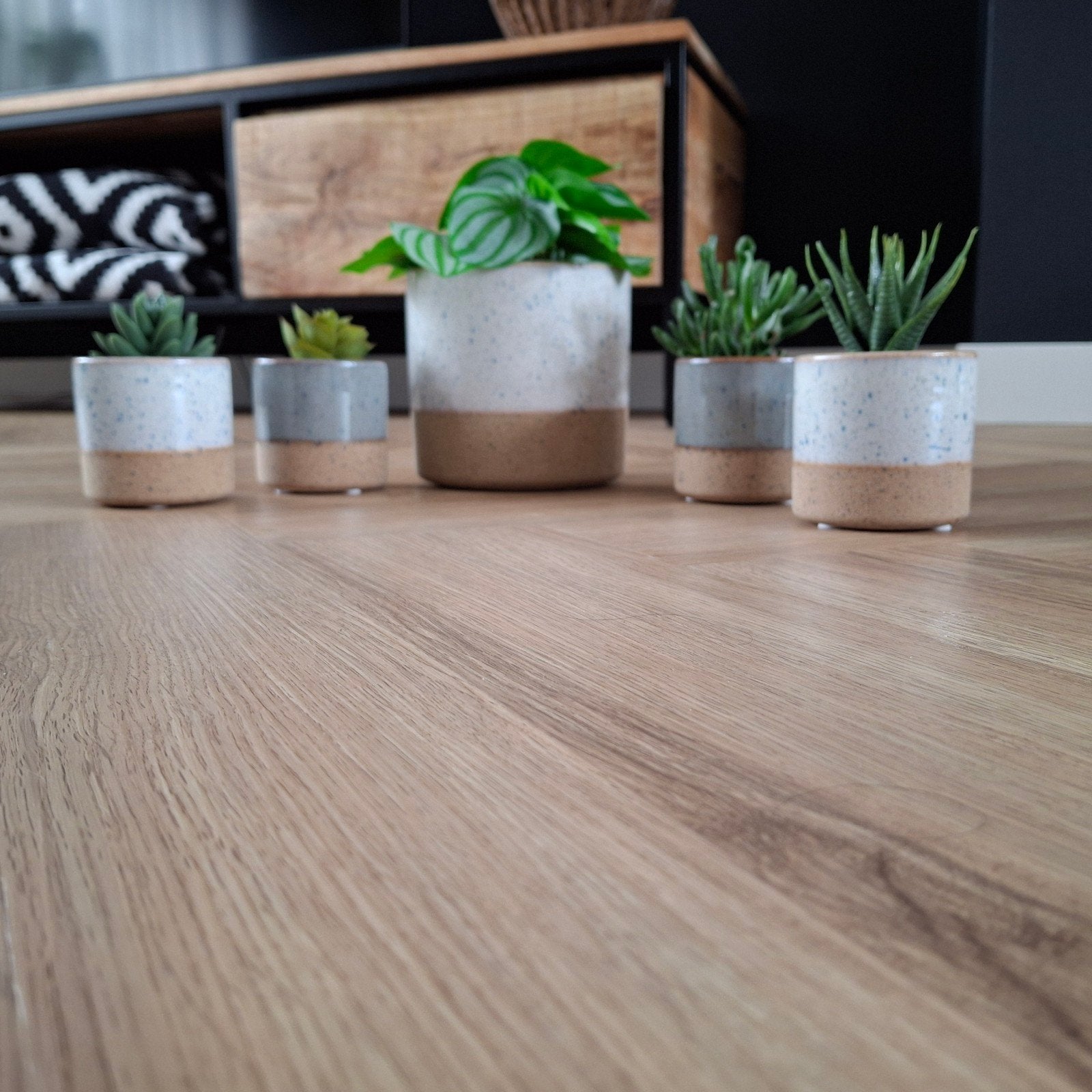 Set van 5 onbeschadigde bloempotten, diverse maten