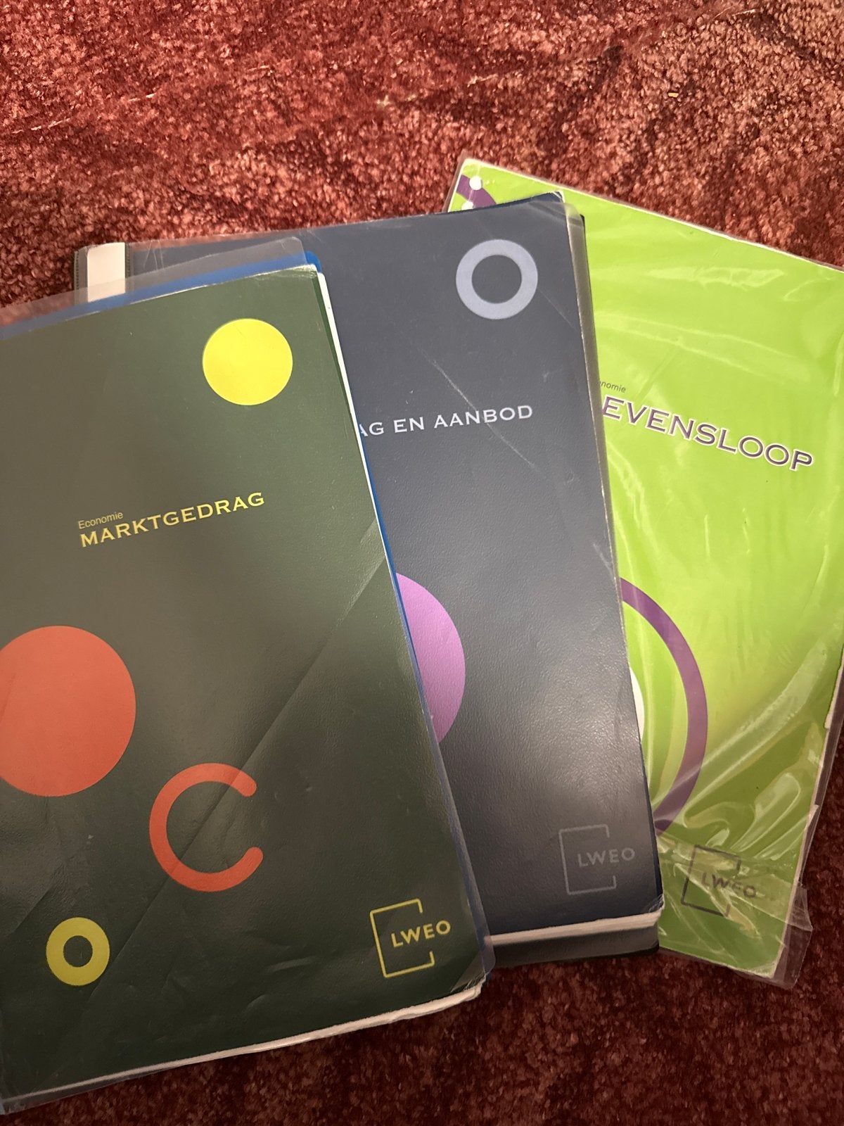 LWEO Economie: Marktgedrag, Vraag & Aanbod, Levensloop, Ophalen of Verzenden, Gamma, Gelezen, Overige niveaus