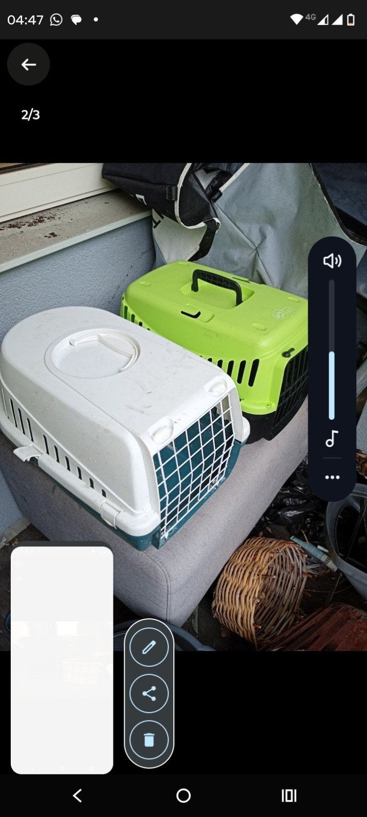 transport boxen groot en klei, Ophalen of Verzenden