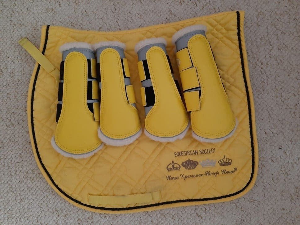 geel harry horse dressuur set Nieuwe flextrainers full, Dieren en Toebehoren, Ophalen of Verzenden, Nieuw