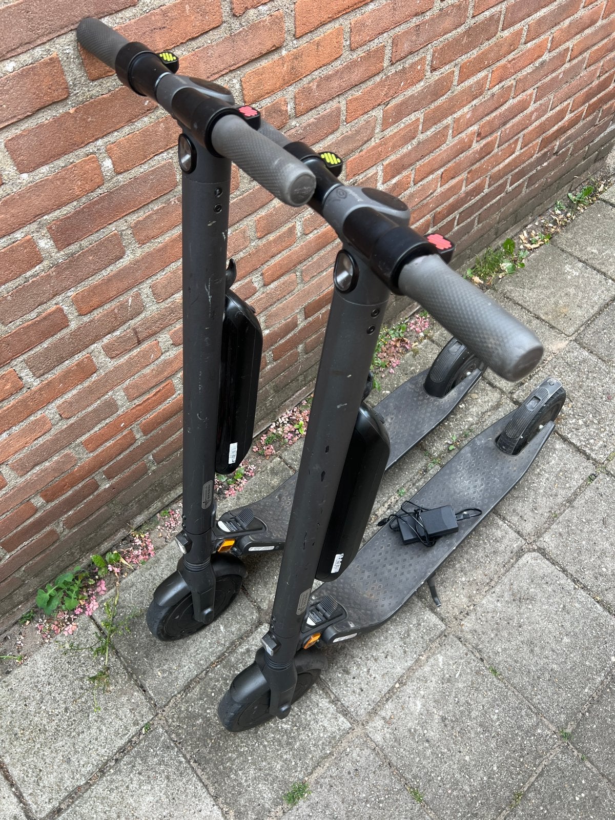 2x Elektrische Segway Ninebot E45E kickscooter, E-scooter, Ophalen, Gebruikt, Elektrische step (E-scooter)