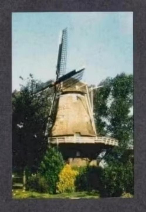 Foto Coevorden Molen De Arend Jaren 80., 1980 tot heden, Foto, Ophalen of Verzenden, Zo goed als nieuw