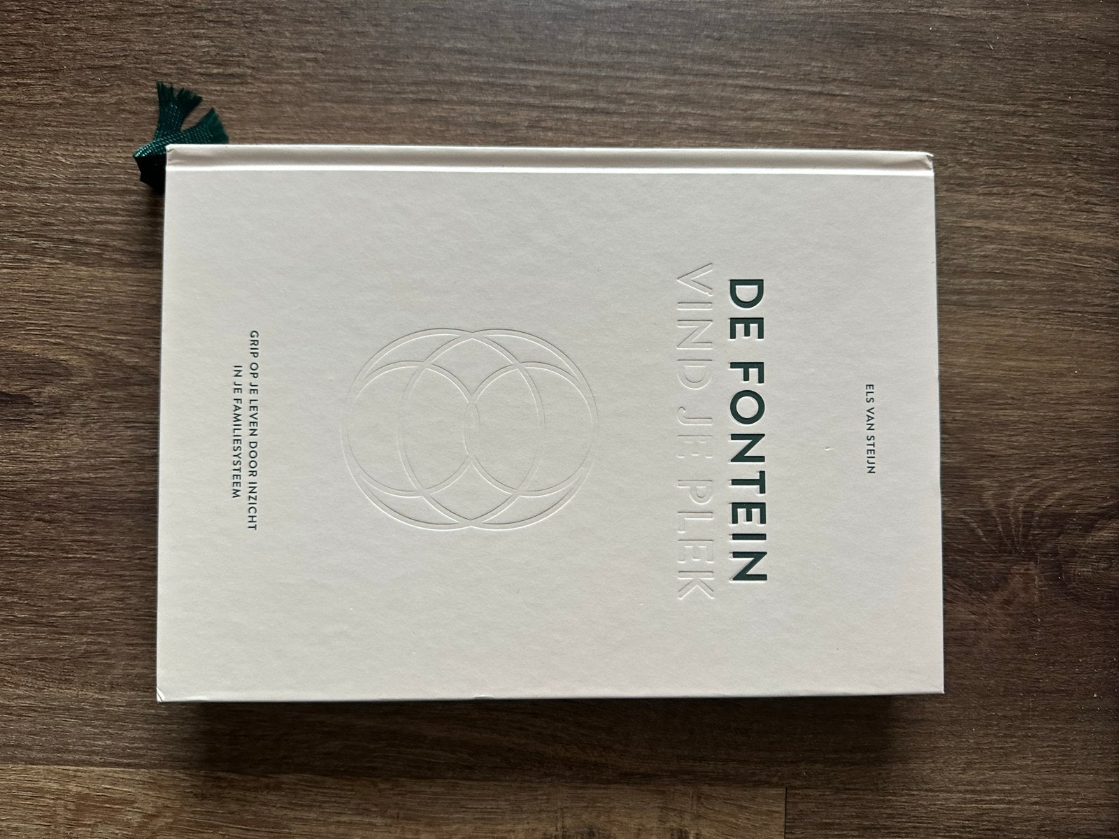 De Fontein, Vind je plek - Els van Steijn, Boeken, Ophalen of Verzenden, Zo goed als nieuw, Overige onderwerpen