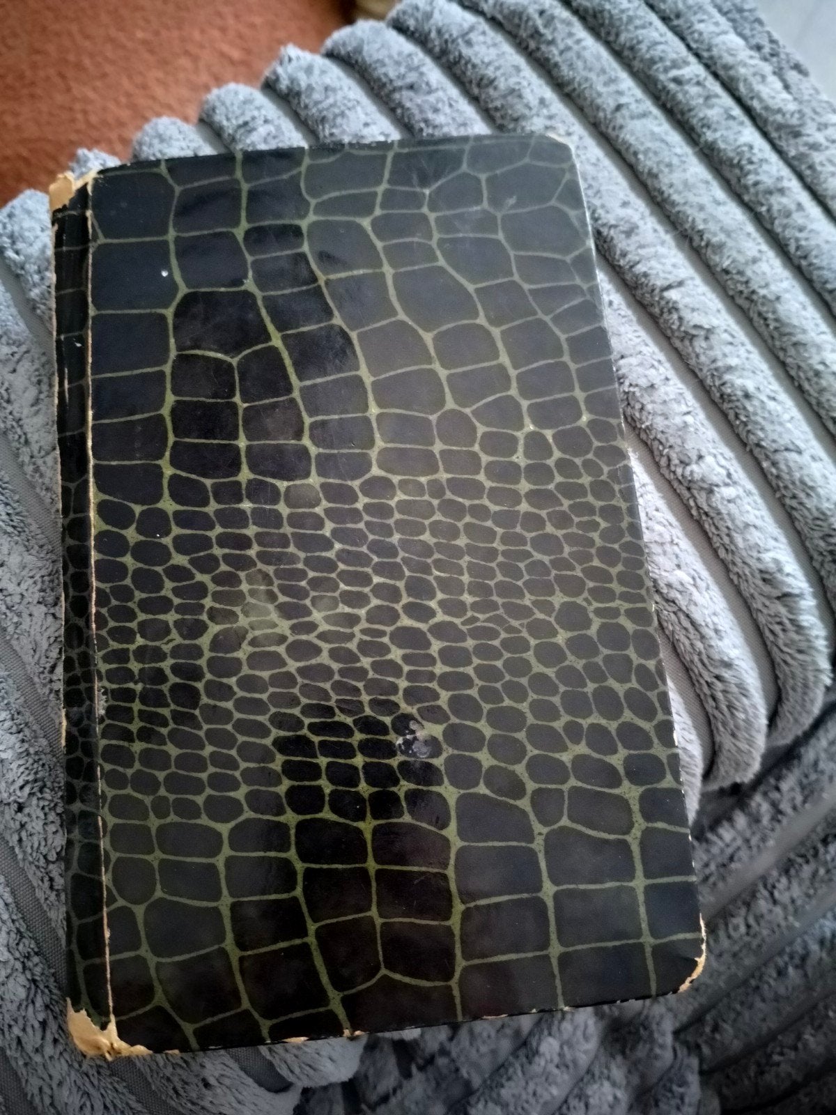 Antiek Poëziealbum uit 1916 - Uniek Verzamelobject, Verzamelen, Verzenden