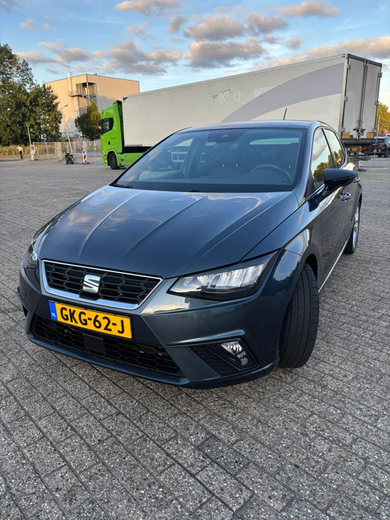 Seat Ibiza FR 1.0 TSI 110pk Dsg-7 2021 Grijs, Ibiza, Grijs, 3 cilinders, Hatchback