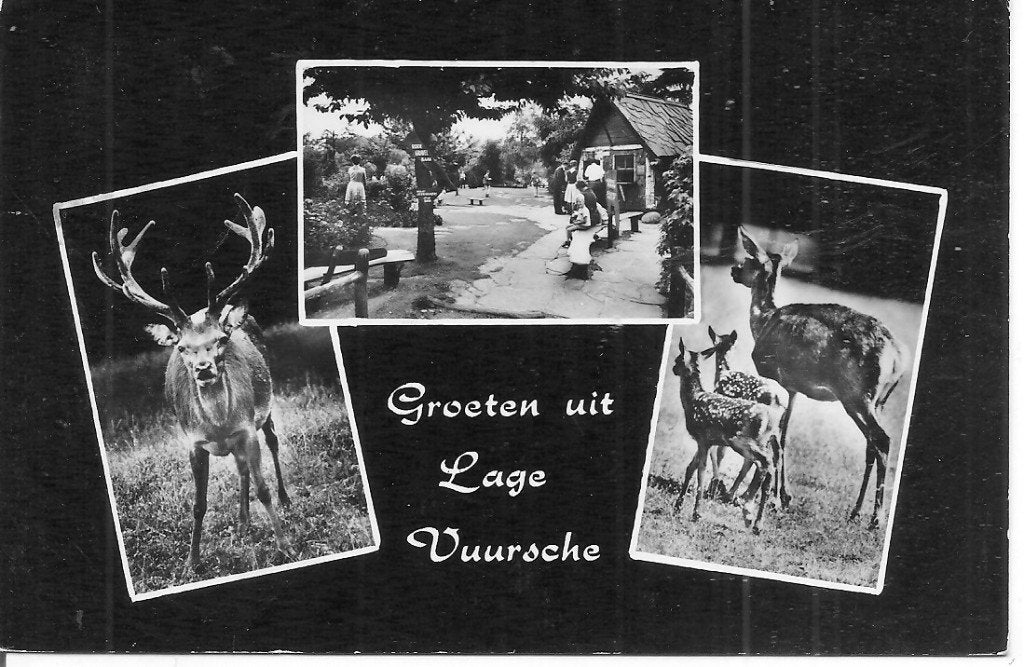 Oude ansichtkaart Groeten uit Lage Vuursche met herten, Ophalen of Verzenden, 1960 tot 1980, Gelopen, Utrecht