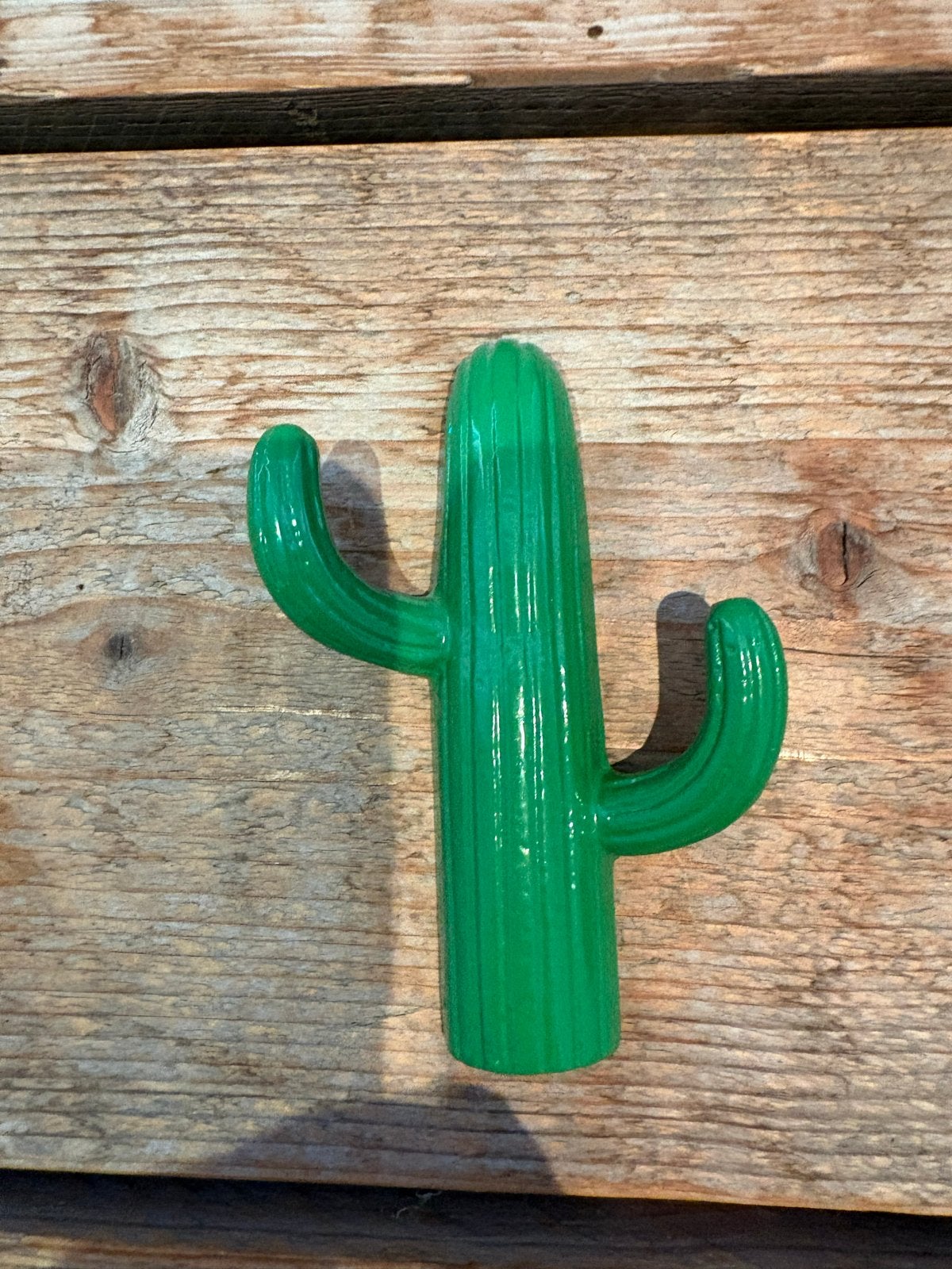Leuke groene wandhaak in de vorm van een cactus, Ophalen, Groen, Overige stijlen, Nieuw