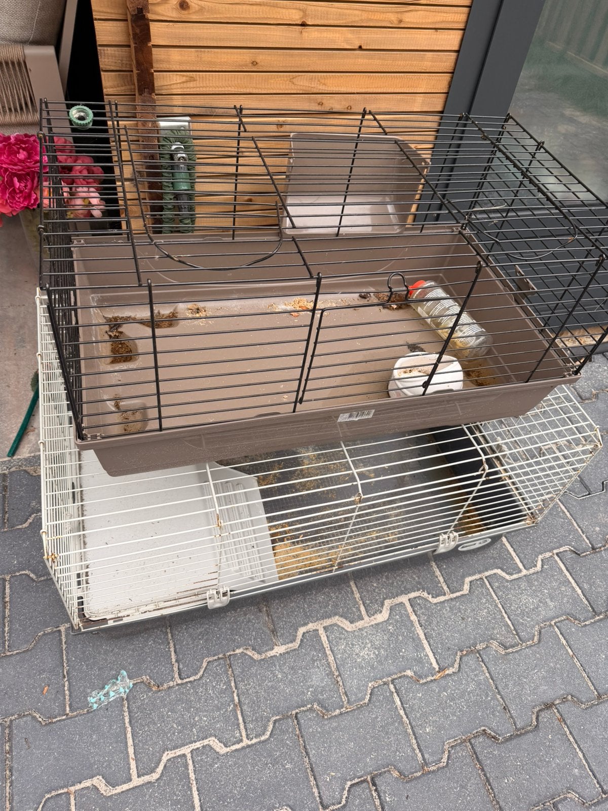 Konijnenhok, Dieren en Toebehoren, Knaagdieren en Konijnen | Hokken en Kooien, Zo goed als nieuw, Hok, 75 tot 110 cm, Cavia