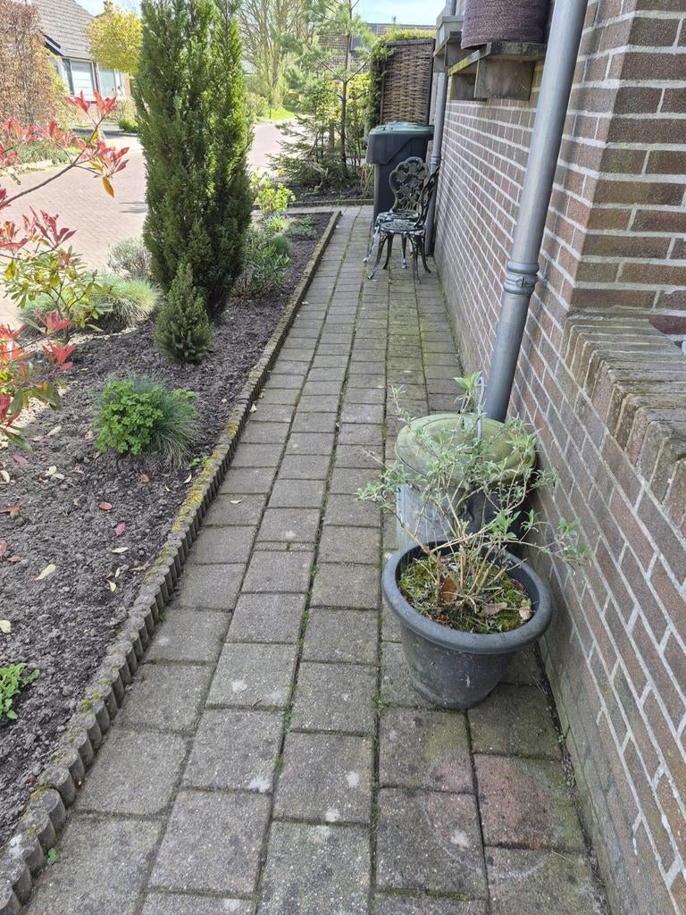 Gratis af te halen 60m2 bestrating., Tuin en Terras, Overige materialen, Gebruikt, Overige typen, Ophalen of Verzenden