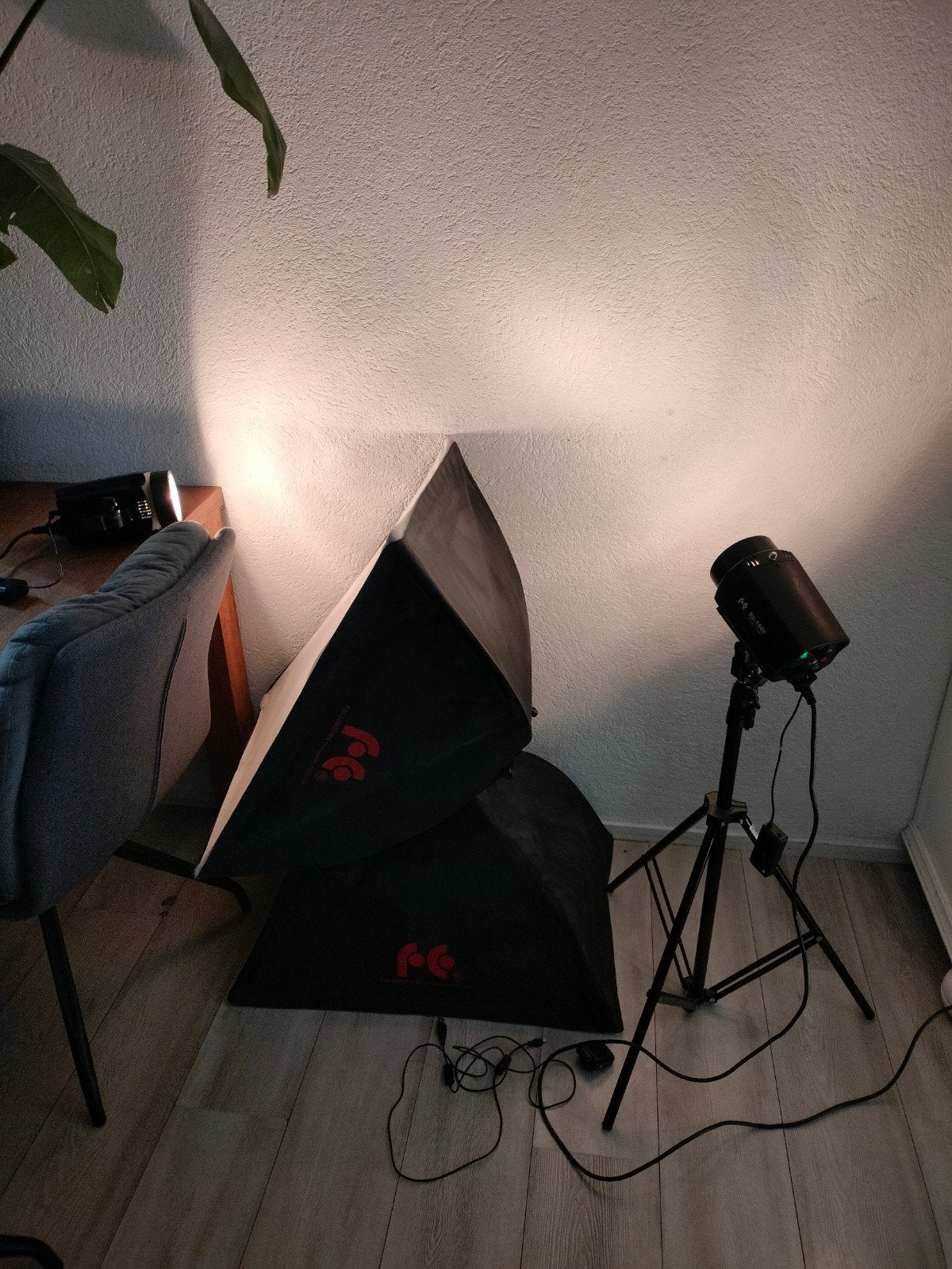 Falcon ss-150F studiolampen op standaard samen €100, Audio, Tv en Foto, Fotografie | Fotostudio en Toebehoren, Ophalen, Lamp of Flitsset