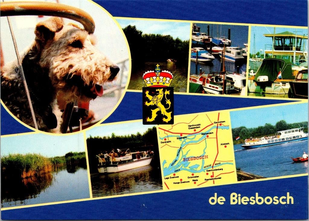 De Biesbosch - 3 ansichtkaarten, Verzenden, 1960 tot 1980, Ongelopen, Zuid-Holland