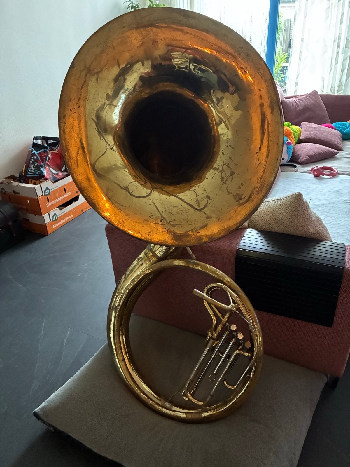 Vintage Sousaphone met draagtas, Ophalen, Gebruikt, Overige typen, Met koffer of draagtas