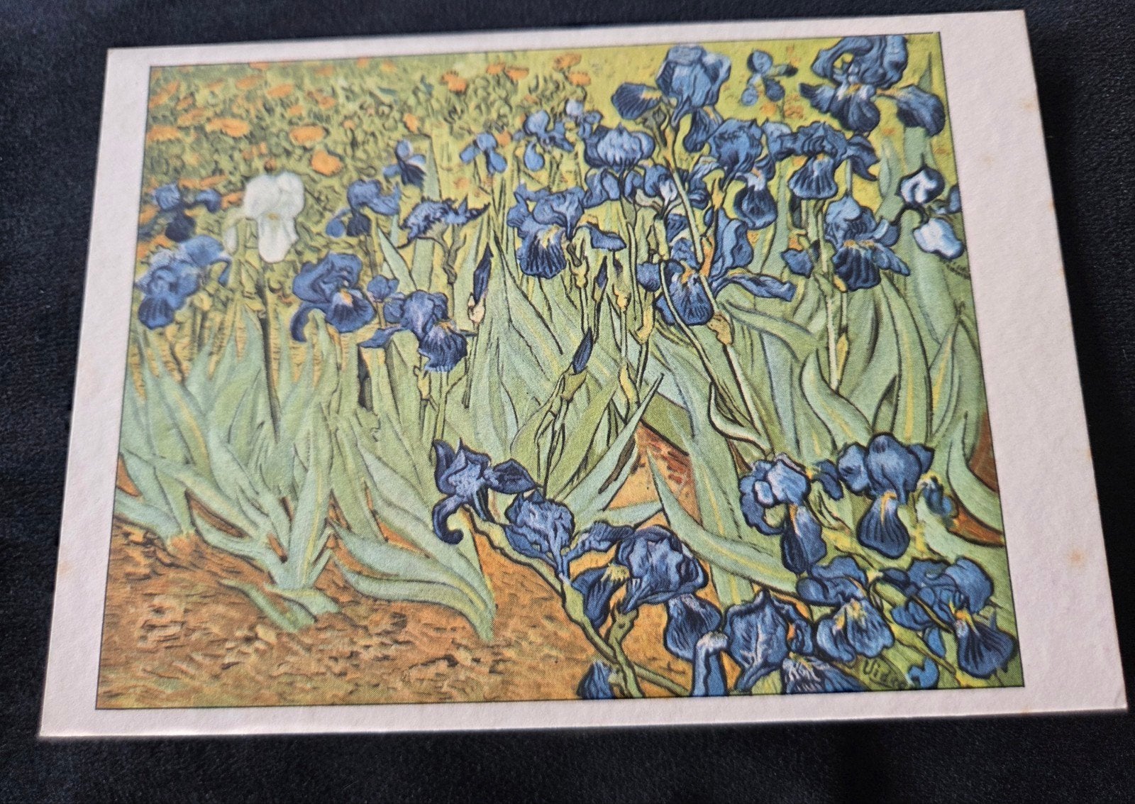Irissen - Vincent van Gogh, Verzenden, Ongelopen, Overige thema's