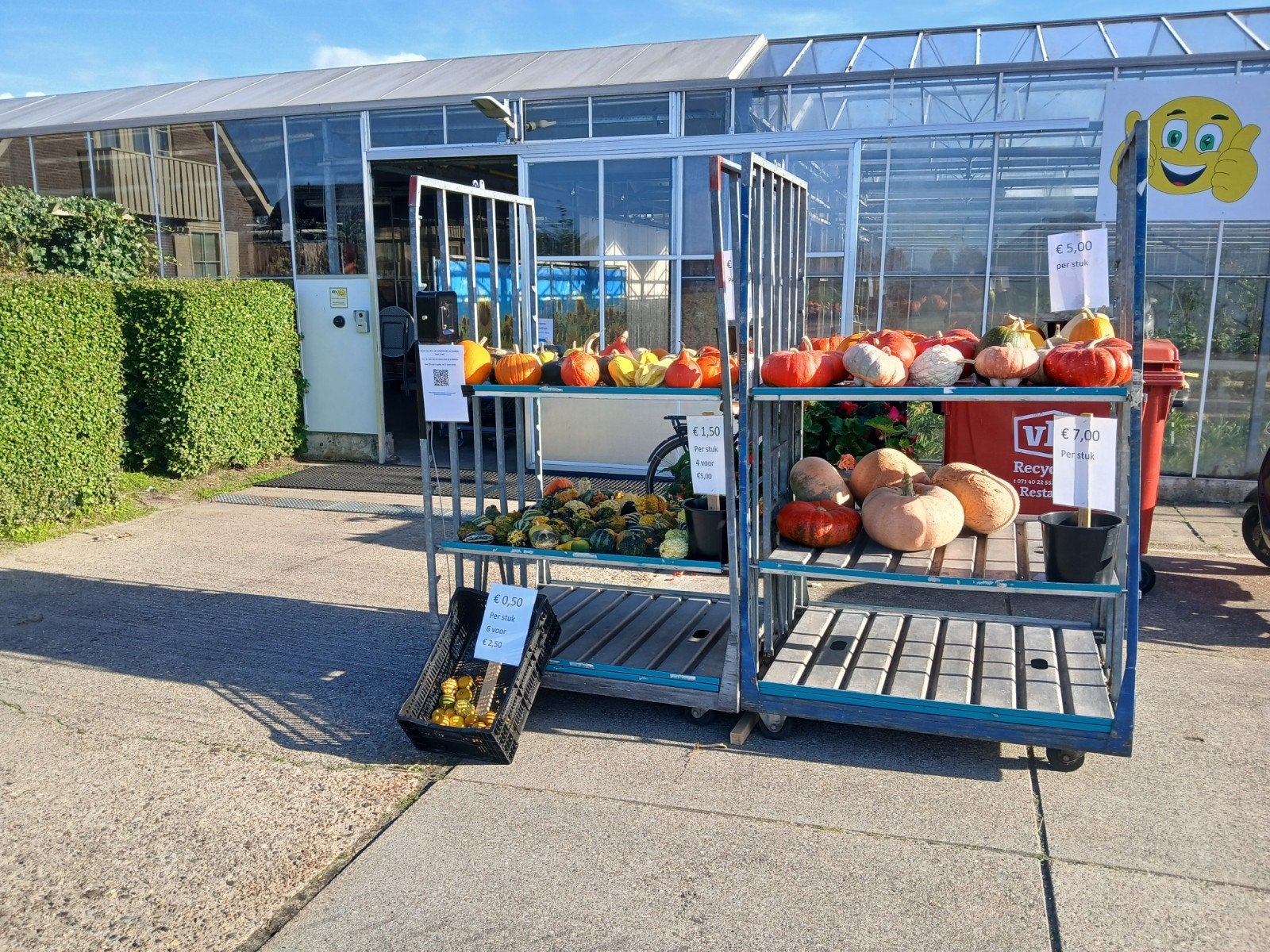 Diverse pompoenen en kalebassen te koop in Rijnsburg, Ophalen, Volle zon, Groenteplanten, Eenjarig