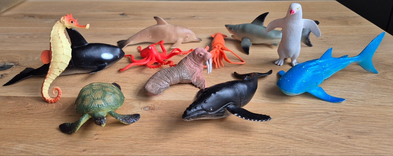 Oceaan dieren zeedieren, Ophalen of Verzenden