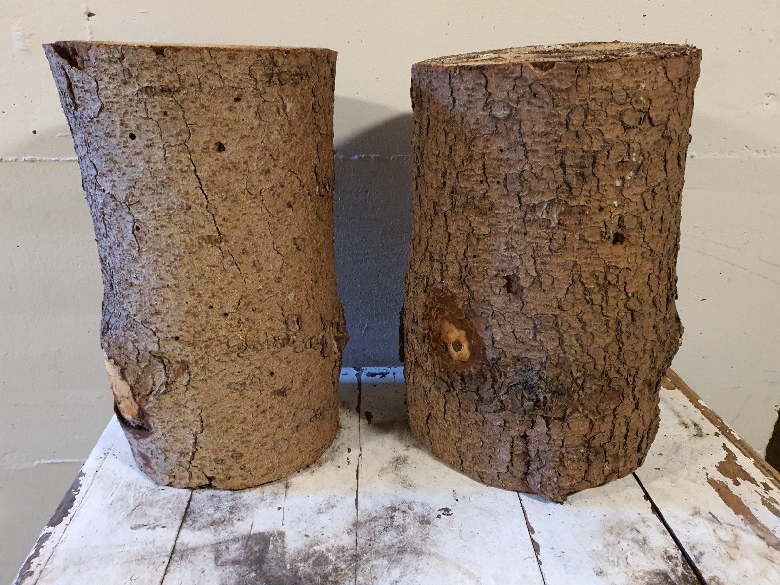 Twee boomstam krukken diameter ca 34 hoogte ca 45 cm, Ophalen