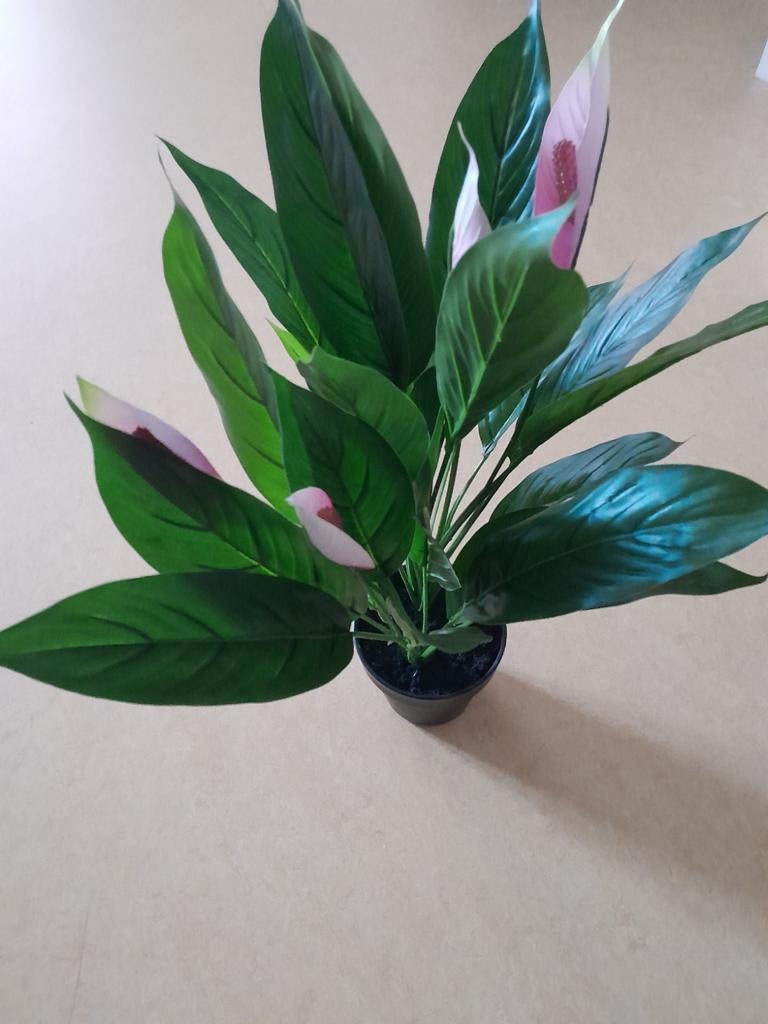 Kunstplant van Tuinland, ongeveer 50cm hoog, Ophalen of Verzenden