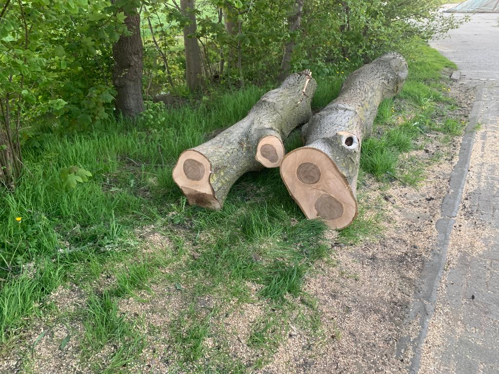 Stammen notenboom, Doe-het-zelf en Verbouw, Ophalen, Overige typen, Zo goed als nieuw, Overige houtsoorten