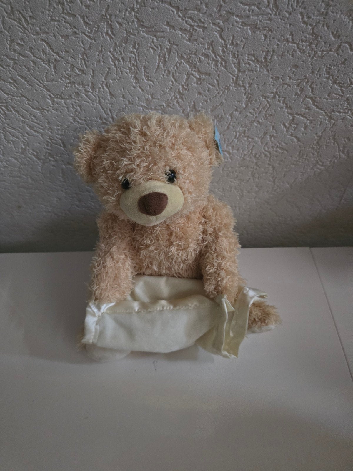 Interactieve Peek-a-Boo Teddybeer met deken, Beer, Ophalen of Verzenden, Zo goed als nieuw, Middelgroot (20 tot 80 cm)