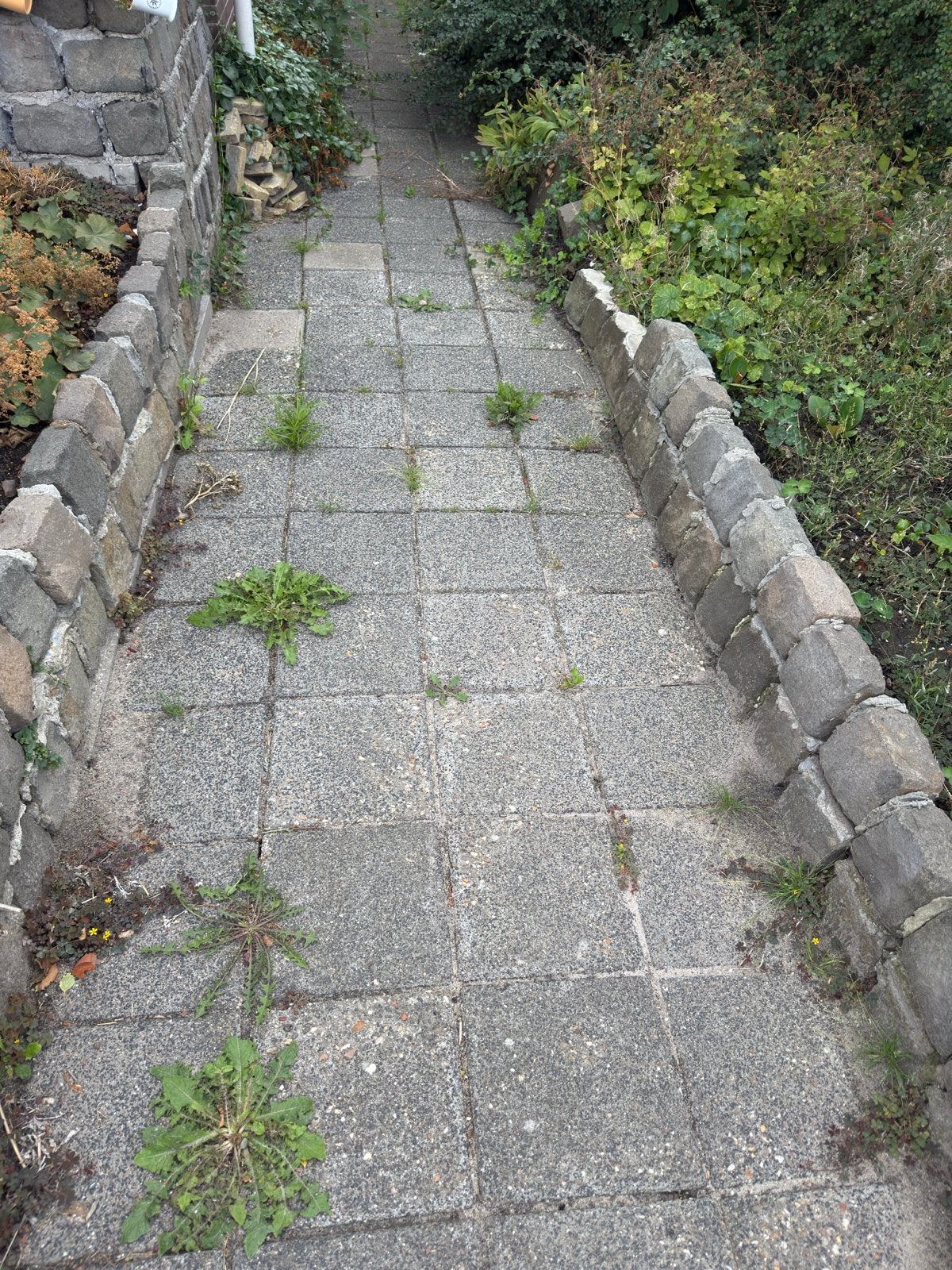 Gratis 160+ betontegels 30x30 cm, Tuin en Terras, Tegels en Klinkers, Ophalen, Gebruikt, 10 m² of meer, Beton