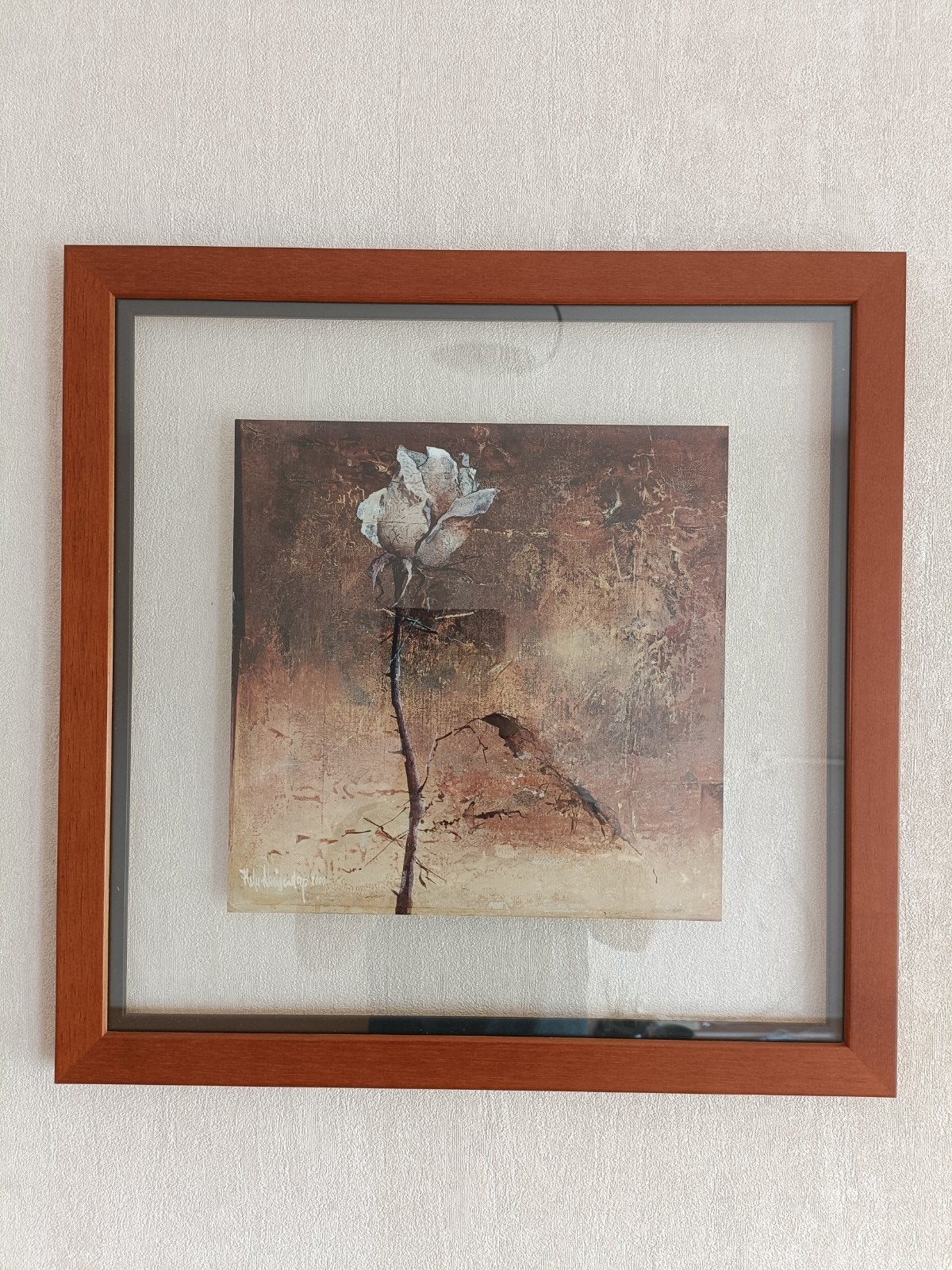 Prachtig ingelijste kunstprint 'Roos' van Heleen Vriesendorp, Ophalen, 50 cm, 50 cm, Glas