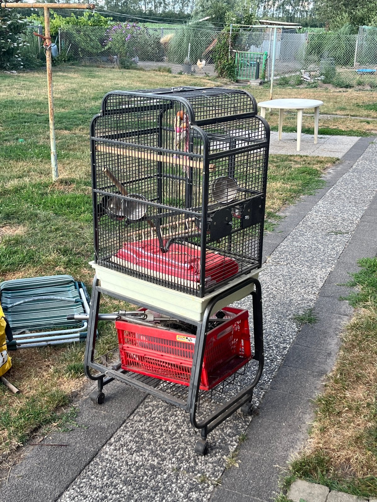 Vogelkooi, Dieren en Toebehoren, Ophalen, Gebruikt, Metaal, Vogelkooi
