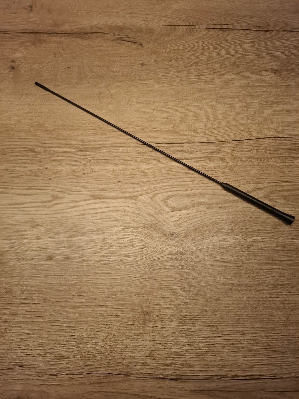 Lange auto radio antenne voor Ford Focus RS MK2 / ST225, Ophalen of Verzenden, Nieuw