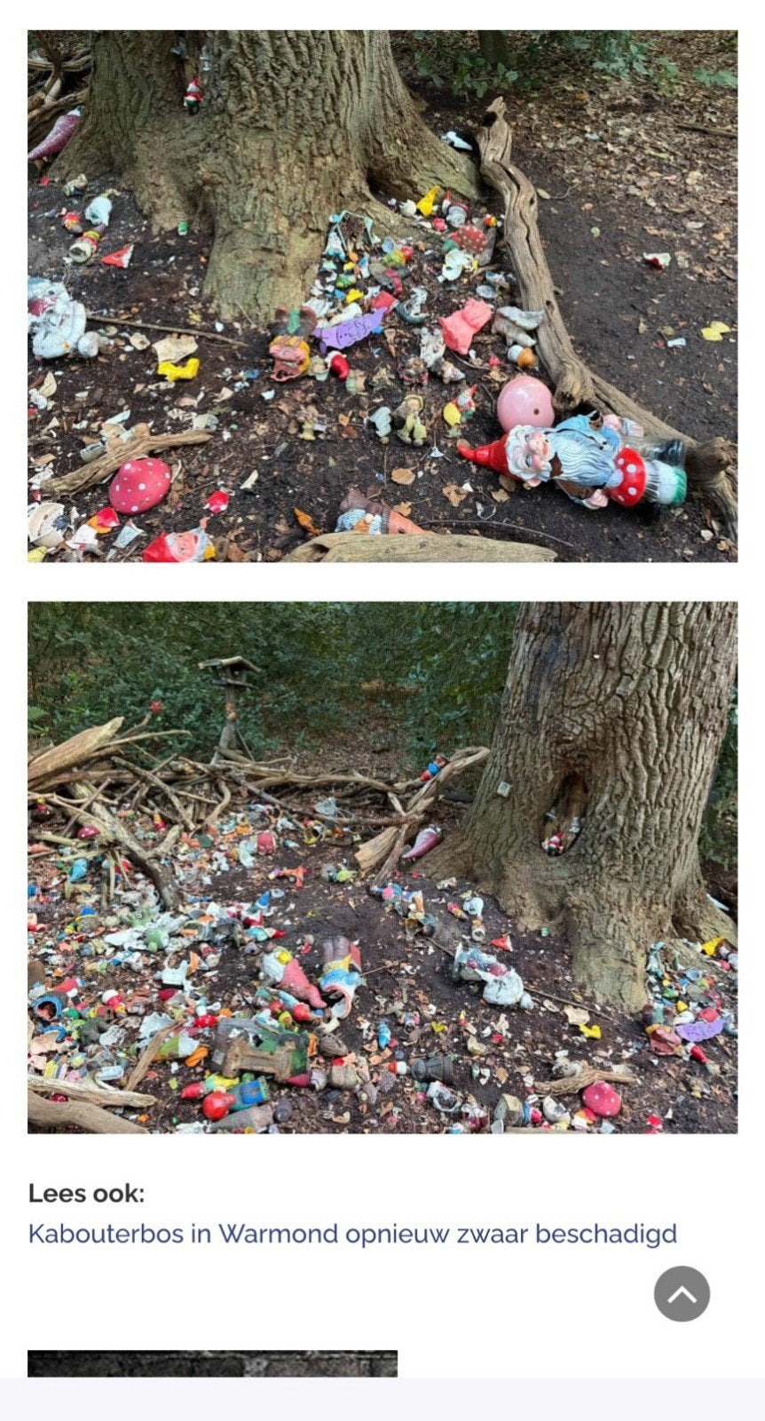 Bij wie mag ik gratis kabouters ophalen voor het kabouterbos, Tuin en Terras, Ophalen, Zo goed als nieuw
