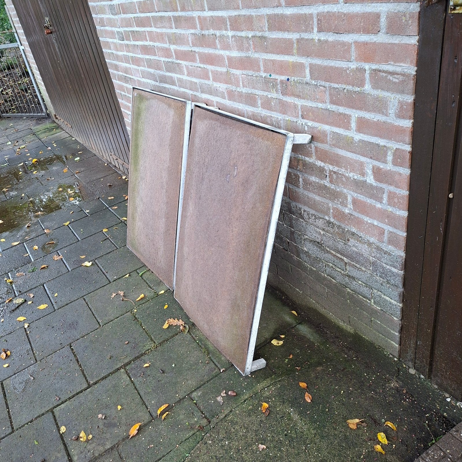 Ligvlonder hond, Dieren en Toebehoren, Ophalen
