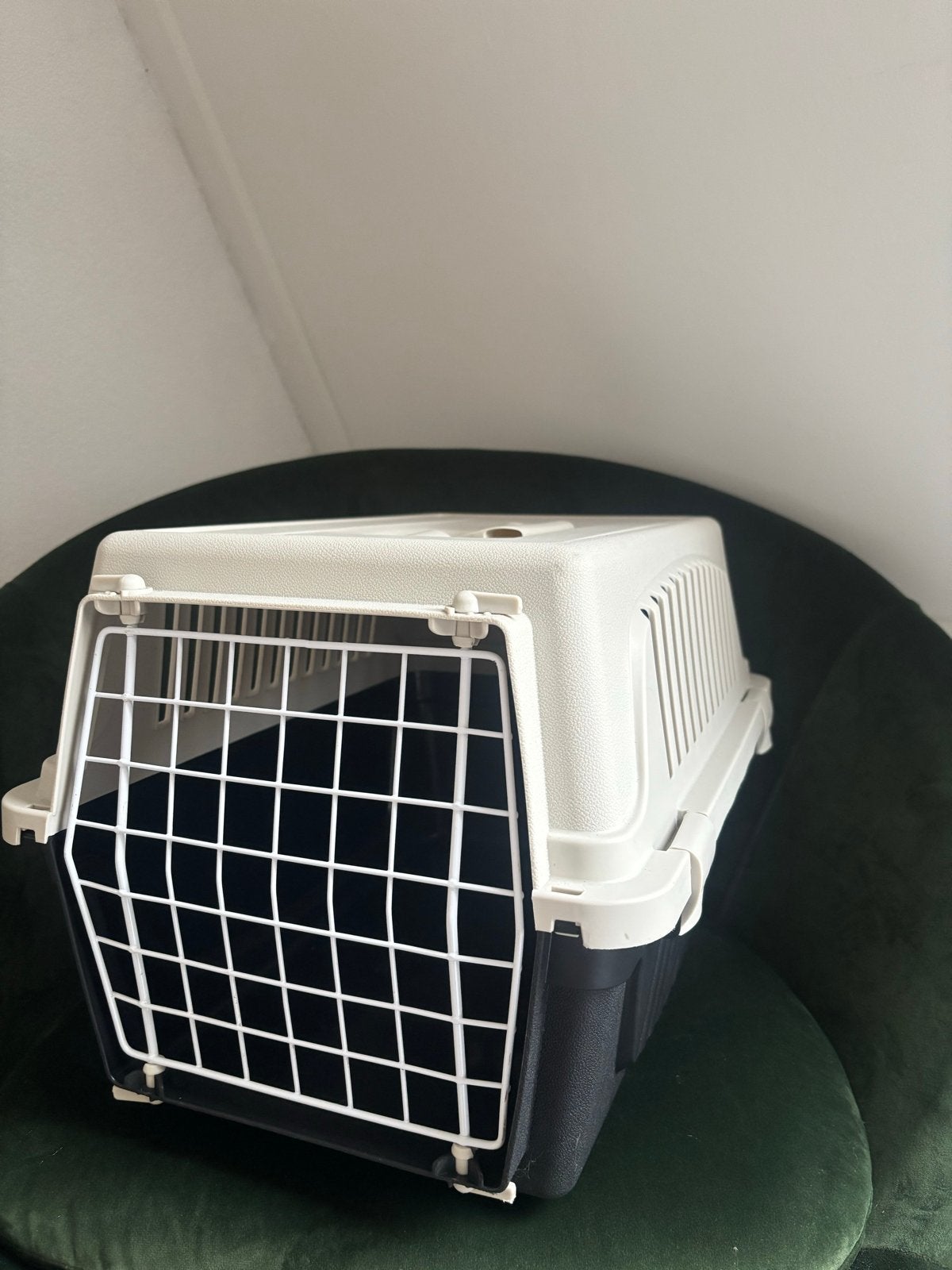 Reismand katten, Ophalen, Zo goed als nieuw