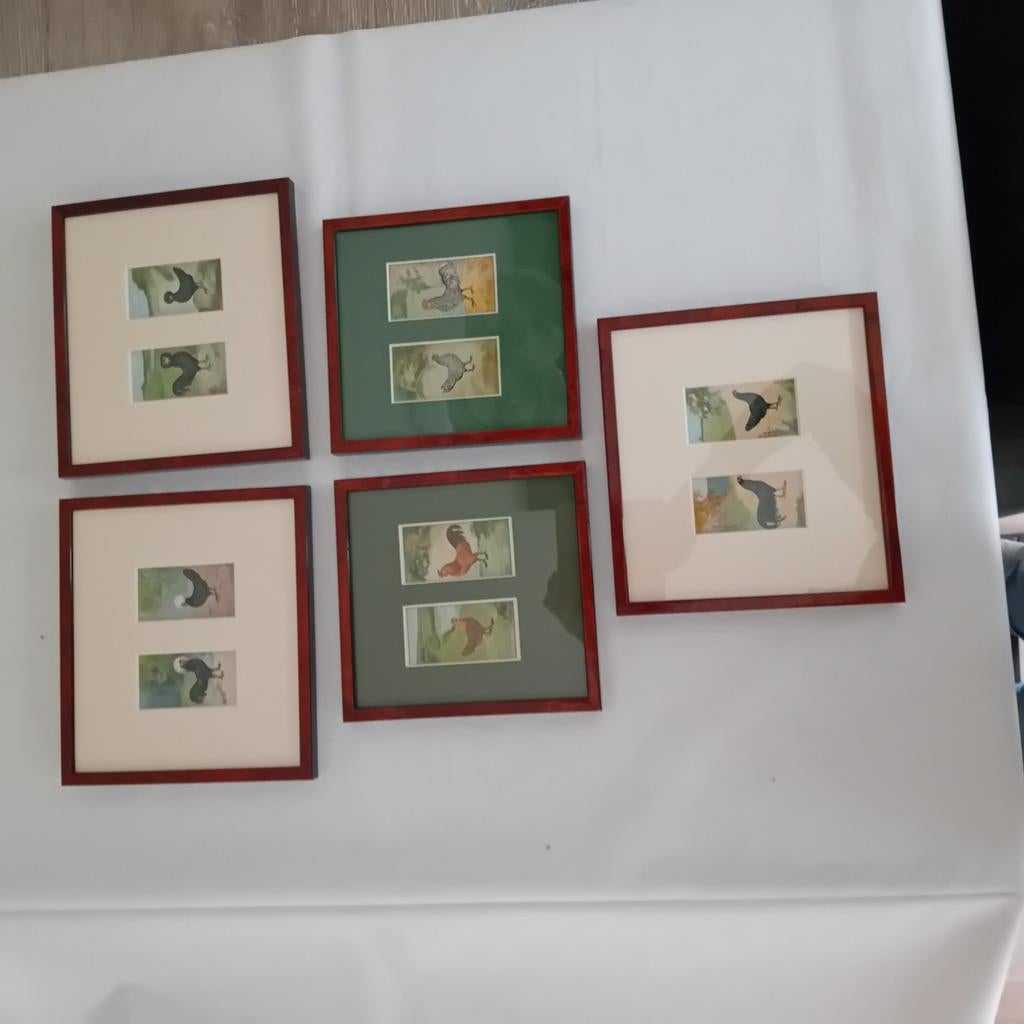 Schilderijtjes, Huis en Inrichting, Woonaccessoires | Schilderijen, Tekeningen en Foto's, Ophalen, Minder dan 50 cm, Zo goed als nieuw