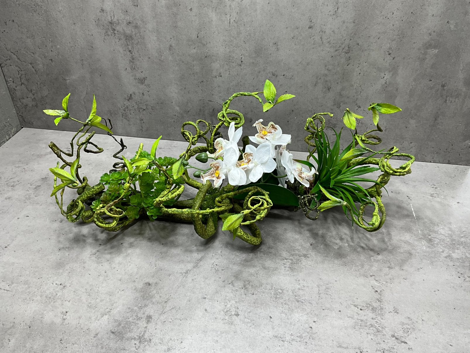 Decoratie toef succulenten/ orchidee, Ophalen of Verzenden, Nieuw