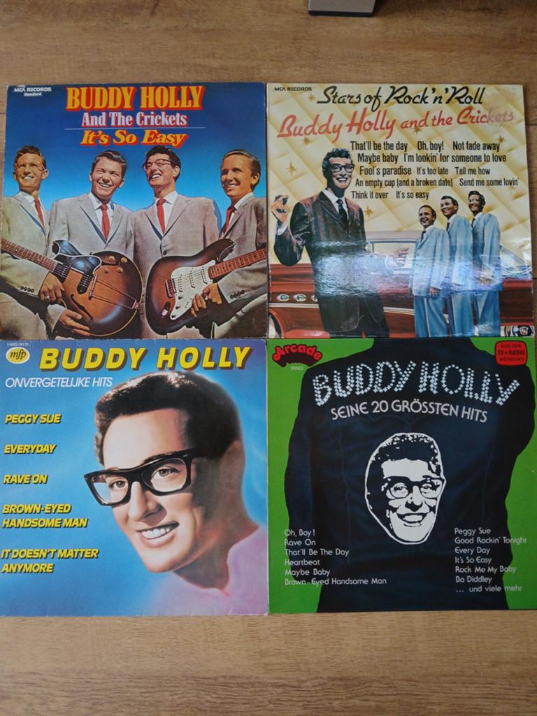 Leuke verzameling elpees van Buddy Holly, Ophalen of Verzenden, Gebruikt, 12 inch