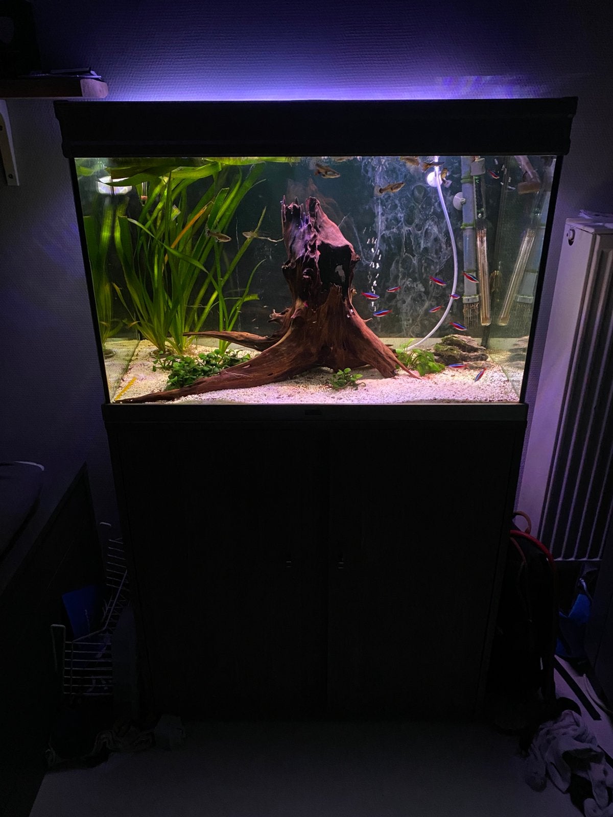 Aquarium 140 liter, Ophalen, Aquatlantis, Inclusief toebehoren, Gevuld zoetwateraquarium