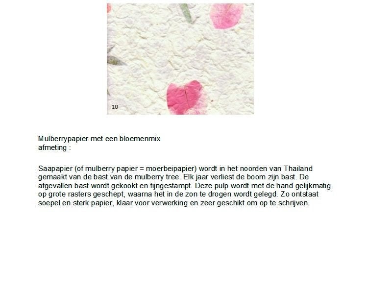 EXCLUSIEVE VERPAKKINGEN MULBERRY 3 DLG SET OVAAL WIT BLAD, -, -, Nieuw, Ophalen of Verzenden