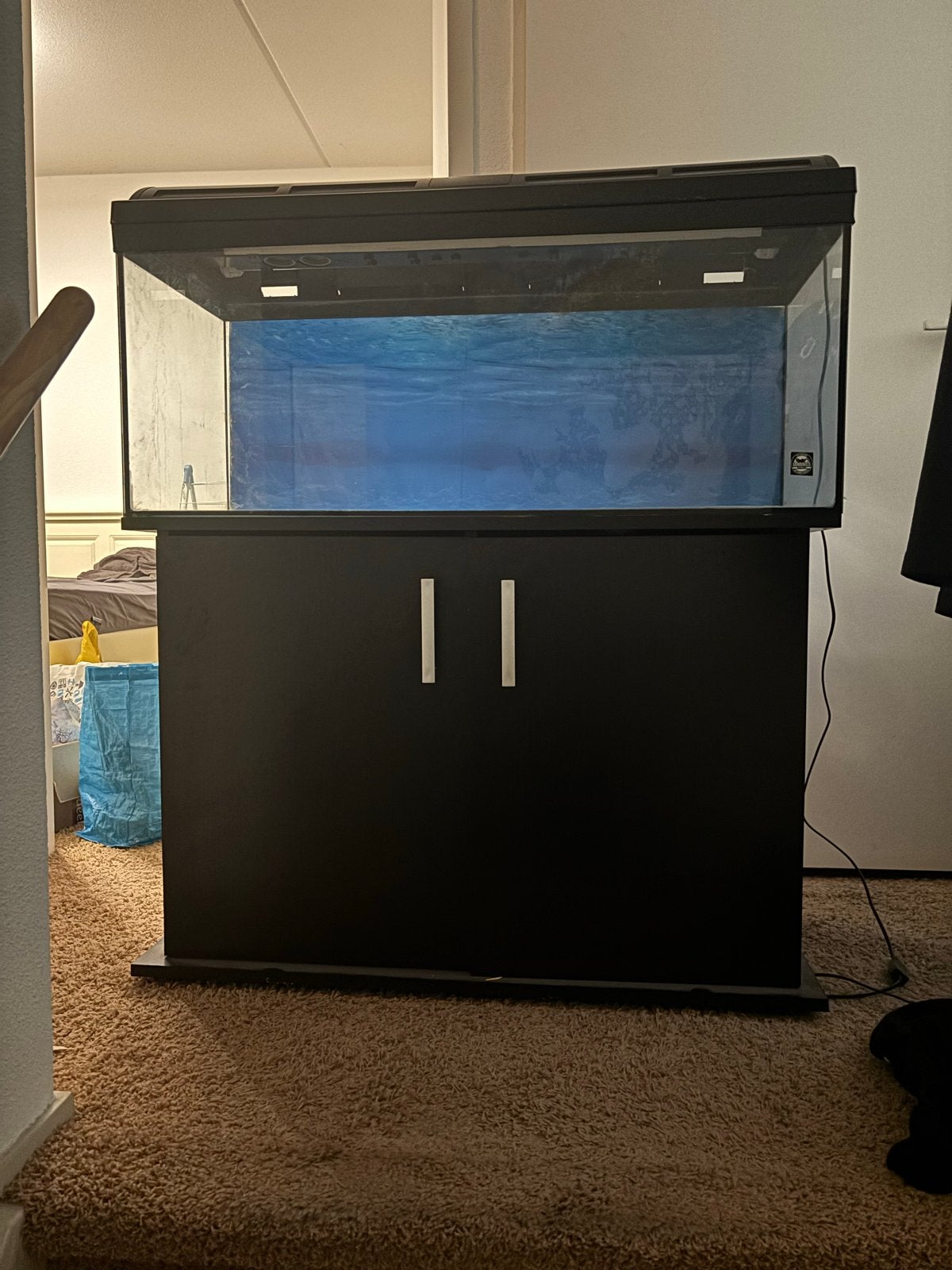Groot aquarium te koop, Ophalen, Gebruikt, Juwel, Inclusief deksel