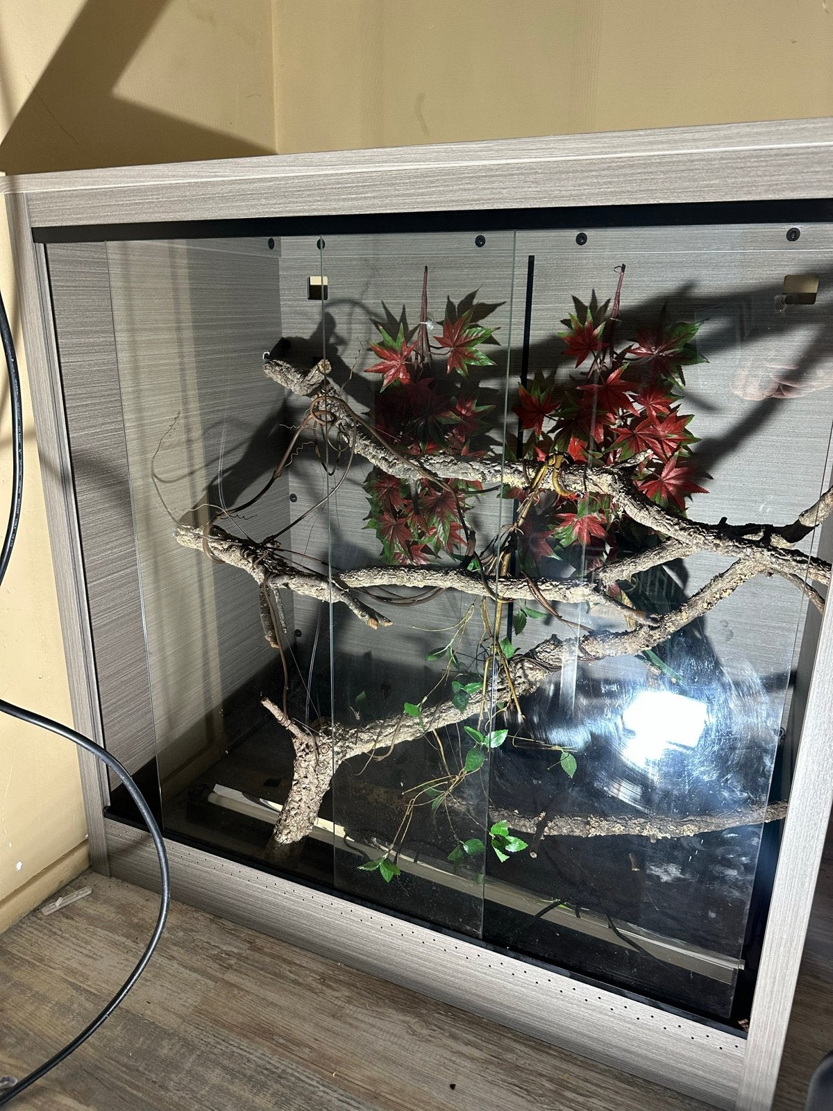 Koopje:!! Zgan Repto terrarium (€900) nu €400!! Zsm ophalen, Ophalen, Zo goed als nieuw, Terrarium of Paludarium