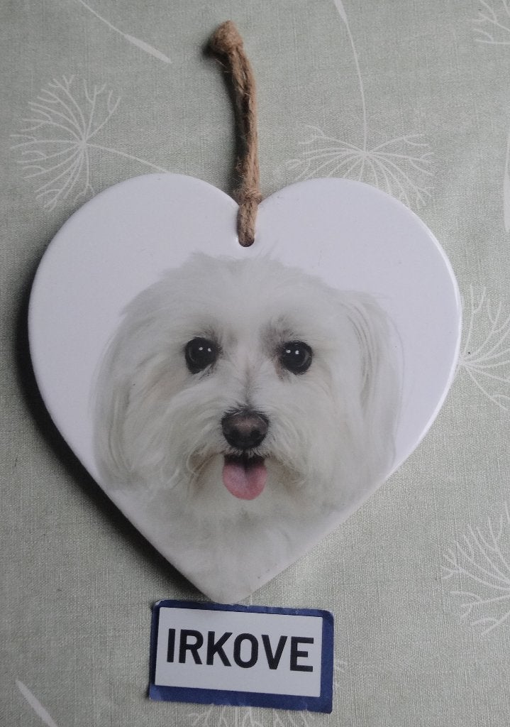 HARTJE MET MALTEZER * Schatje * / TEGEL met Hond *, Verzamelen, Dierenverzamelingen, Nieuw, Beeldje of Figuurtje, Hond of Kat