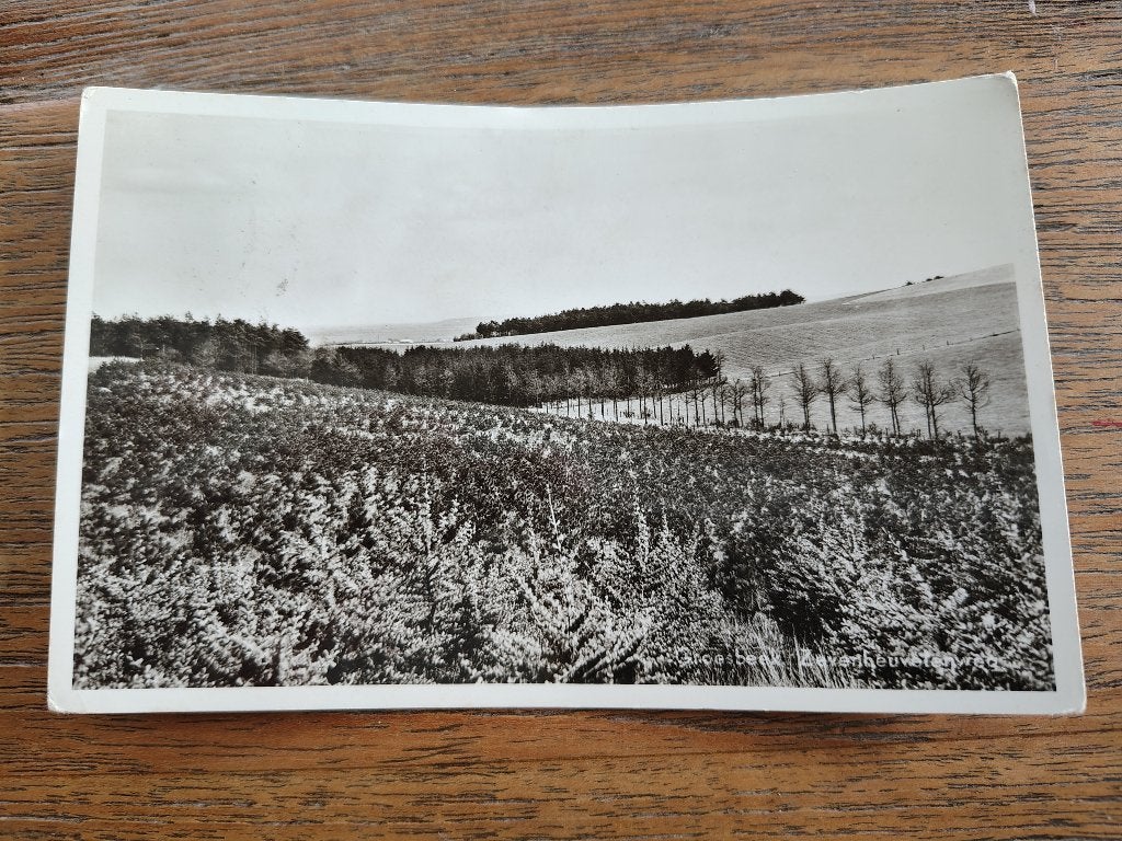 Groesbeek Zevenheuvelenweg, Ophalen of Verzenden