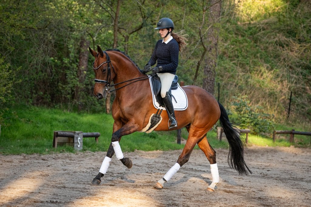 10-jarige ZZ-Licht merrie | Ideaal leerpaard, Merrie, ZZ, Met stamboom, Dressuurpaard