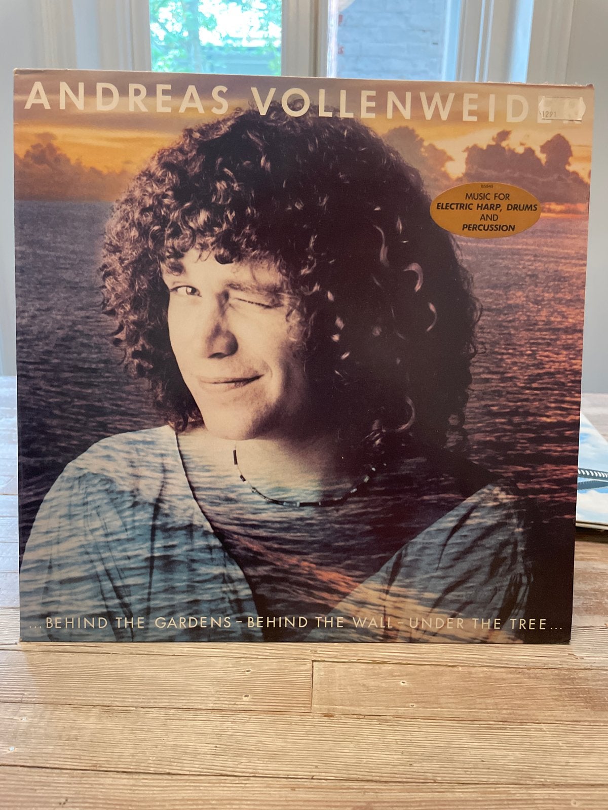 Andreas Vollenweider - Behind the Gardens LP, Ophalen of Verzenden, Gebruikt, 12 inch, LP