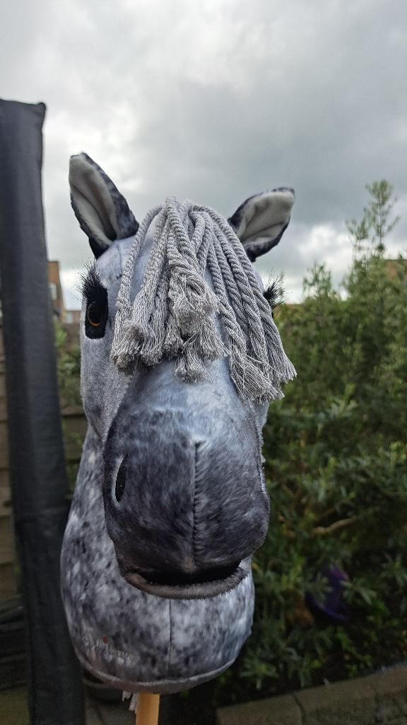 LeMieux Hobby Horse Sammy, Kinderen en Baby's, Speelgoed | Hobbelfiguren, Ophalen, Zo goed als nieuw