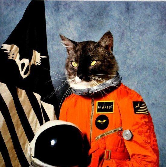 Klaxons - 'Surfing the Void', Ophalen of Verzenden, Zo goed als nieuw, Dance Populair