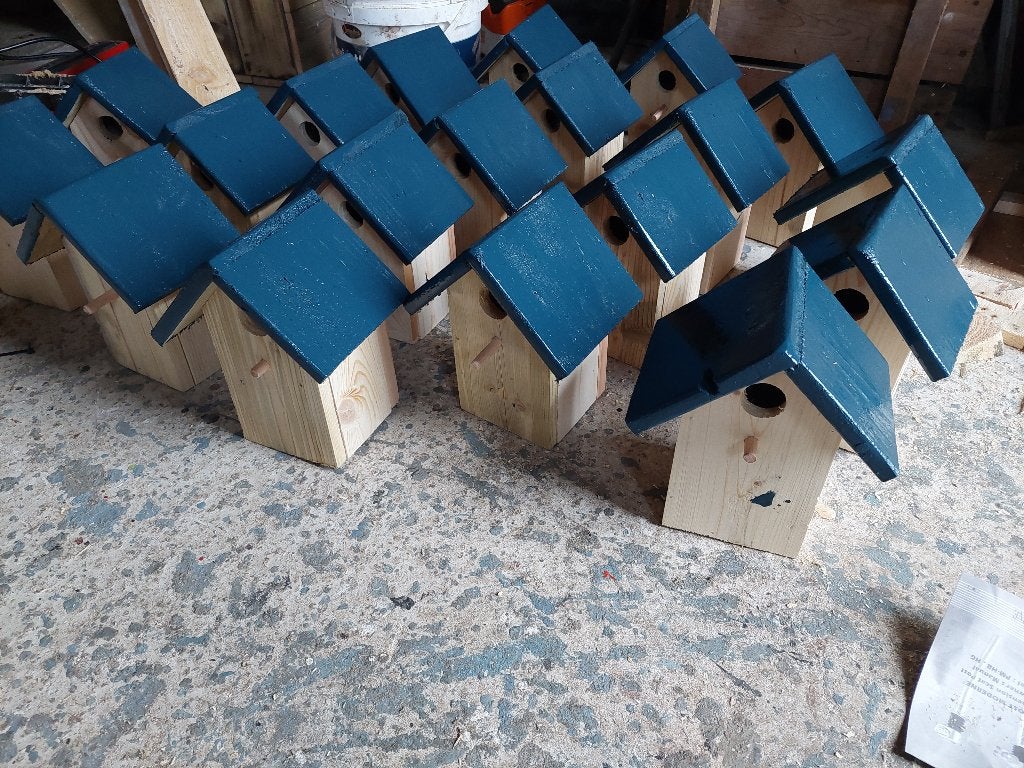 vogelhuisjes, Ophalen of Verzenden, Nieuw