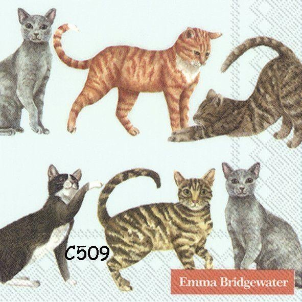 Servetten decoupage/bullet journal * katten C509, Verzenden, Nieuw