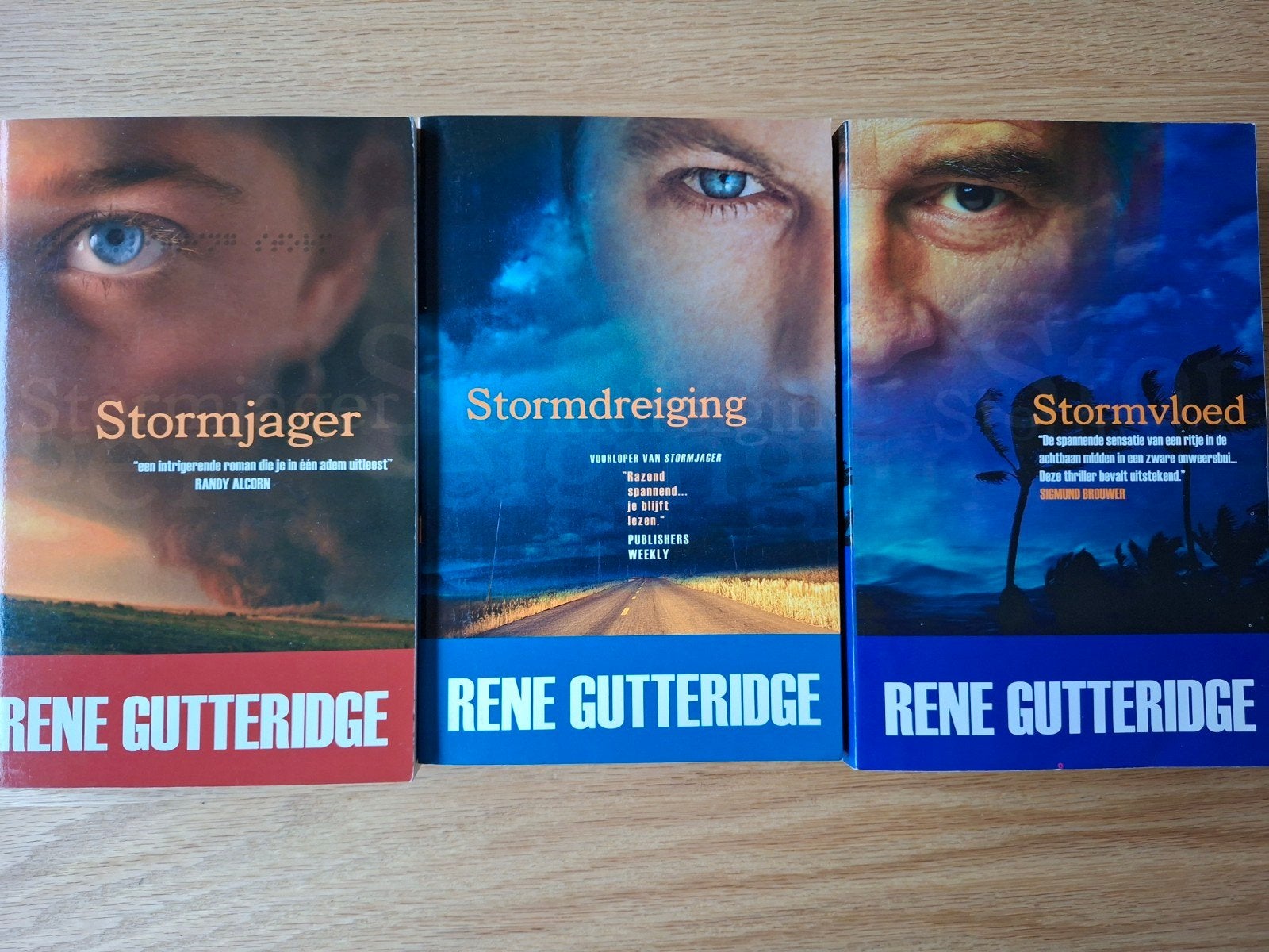 Trilogie-serie: Stormjager, -dreiging, -vloed; R. Gutteridge, Ophalen of Verzenden, Zo goed als nieuw, Rene Gutteridge, Amerika